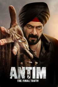 Antim: The Final Truth (2021) Hindi HD