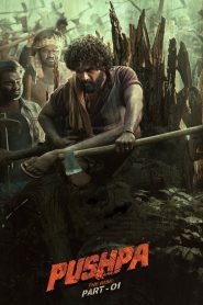 Pushpa: The Rise – Part 1 (2021) Hindi Dubbed HD