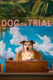 Dog on Trial (2024) Unofficial Hindi Dubbed