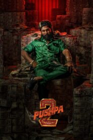 Pushpa 2 – The Rule (2024) Hindi Dubbed