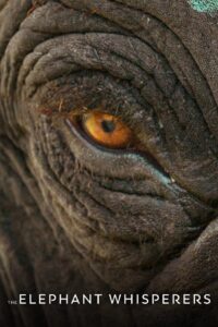 The Elephant Whisperers (2022) Hindi Dubbed 