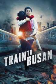 Train to Busan (2016) Hindi Dubbed