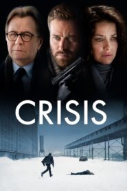 Crisis (2021) Hindi Dubbed 