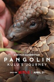 Pangolin: Kulus Journey (2025) Hindi Dubbed Netflix