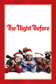 The Night Before (2015) Hindi Dubbed