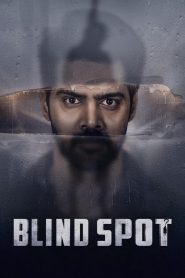 Blind Spot (2025) Hindi Dubbed