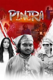 Pinjra (2025) Punjabi HD