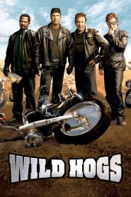 Wild Hogs (2007) Hindi Dubbed
